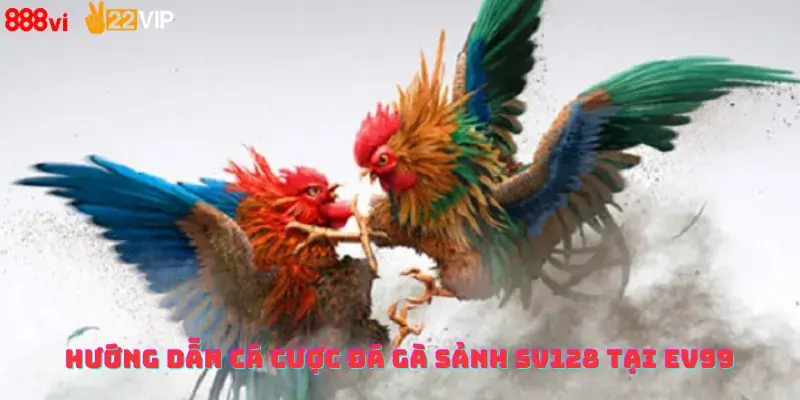 Hướng Dẫn Cá Cược Đá Gà Sảnh SV128 Tại Ev99