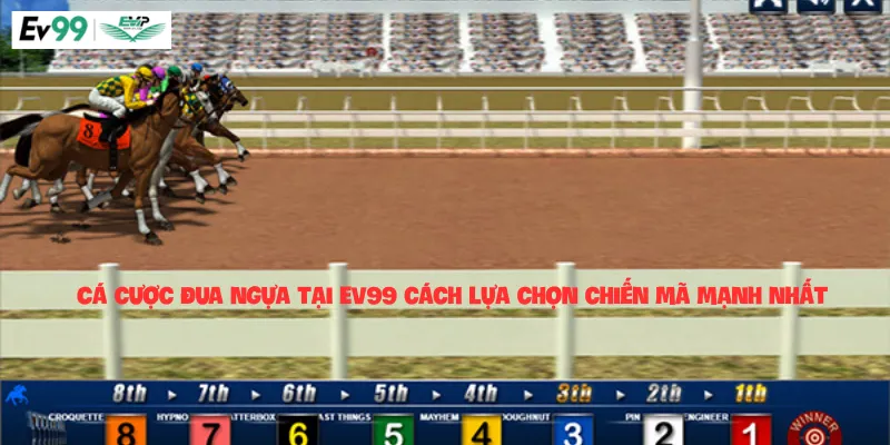 Cá cược đua ngựa tại Ev99 cách lựa chọn chiến mã mạnh nhất
