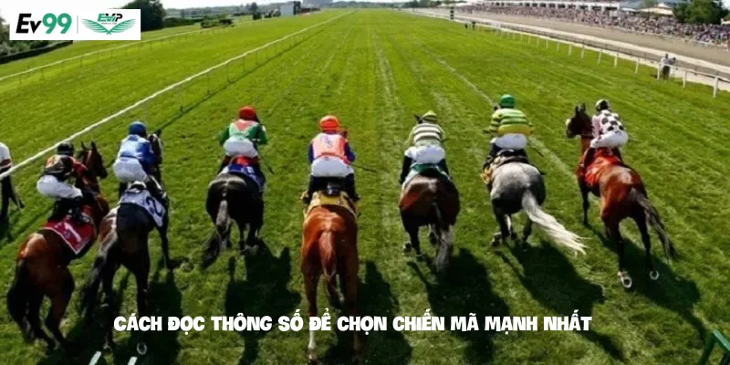 Cách đọc thông số để chọn chiến mã mạnh nhất